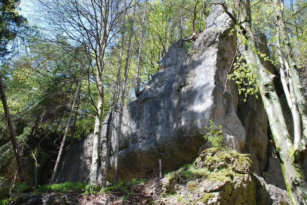 Der ganz linke Teil der Hetzendorfer Wand