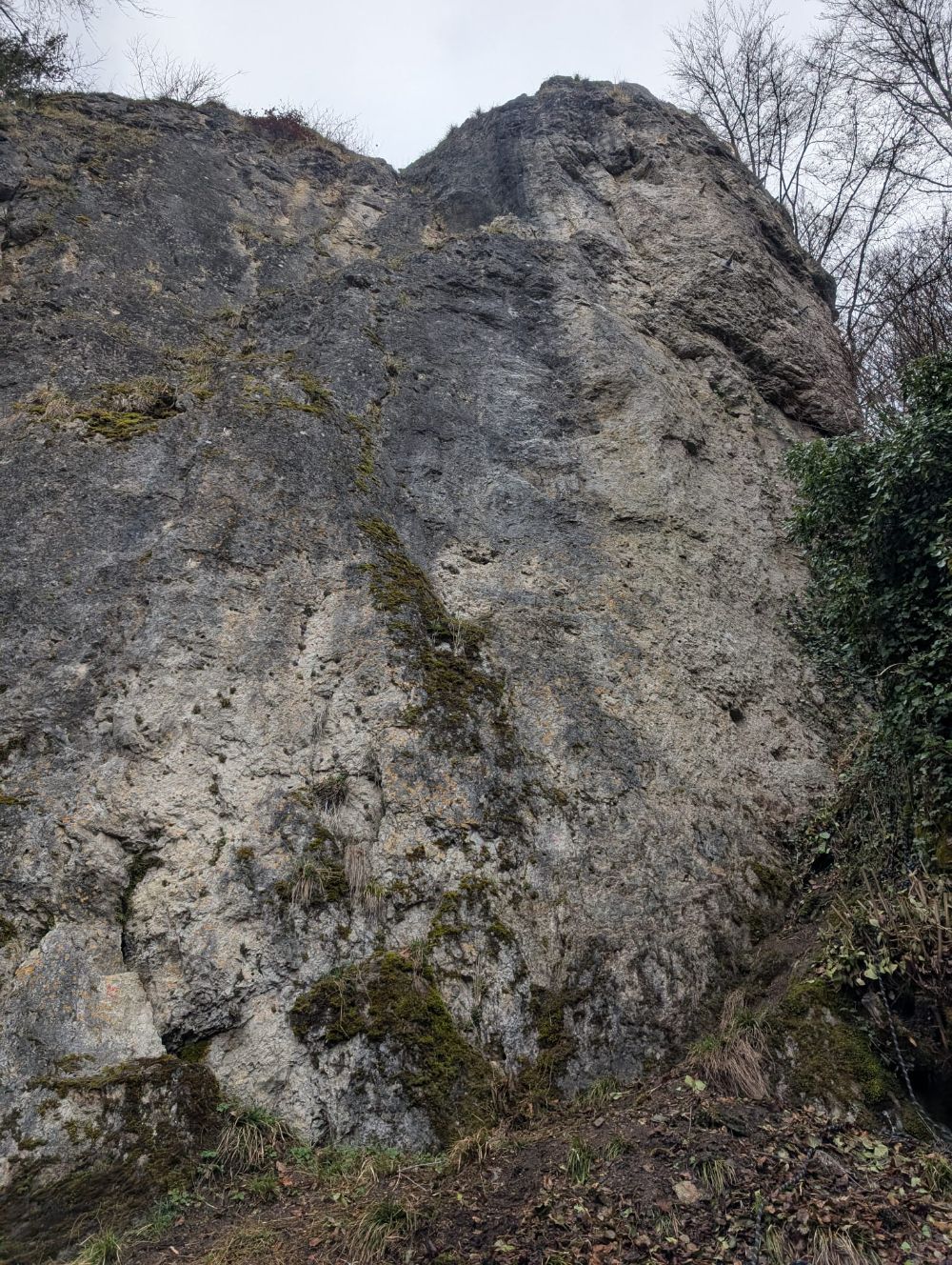 Der rechte Wandteil des Lehensteins im Lehenhammertal (Bild: Horst Krischke)