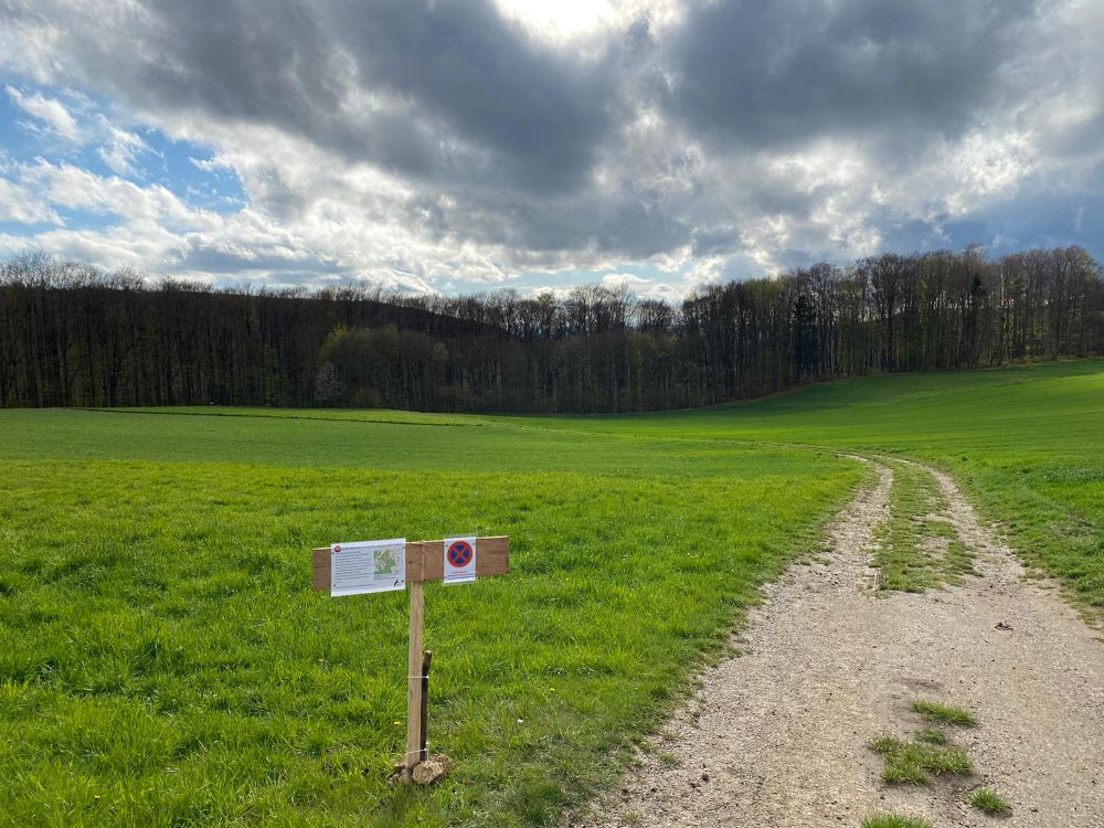 Neuer Zustiegsweg zur Herzogenreuther Wand mit dem Ziel, den Ärger des angrenzenden Gundstückseigentümers zu besänftigen