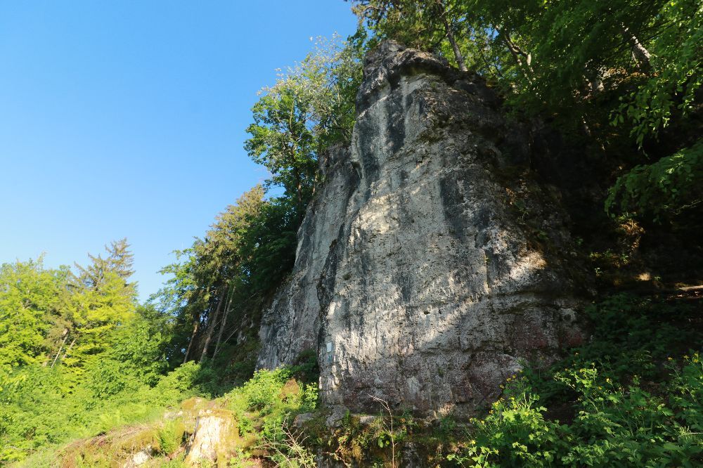Der Grenzstein am Rande des Lauterachtals