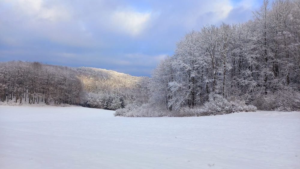 Winterliche Landschaft bei Königstein (Bild: Elke Handel)