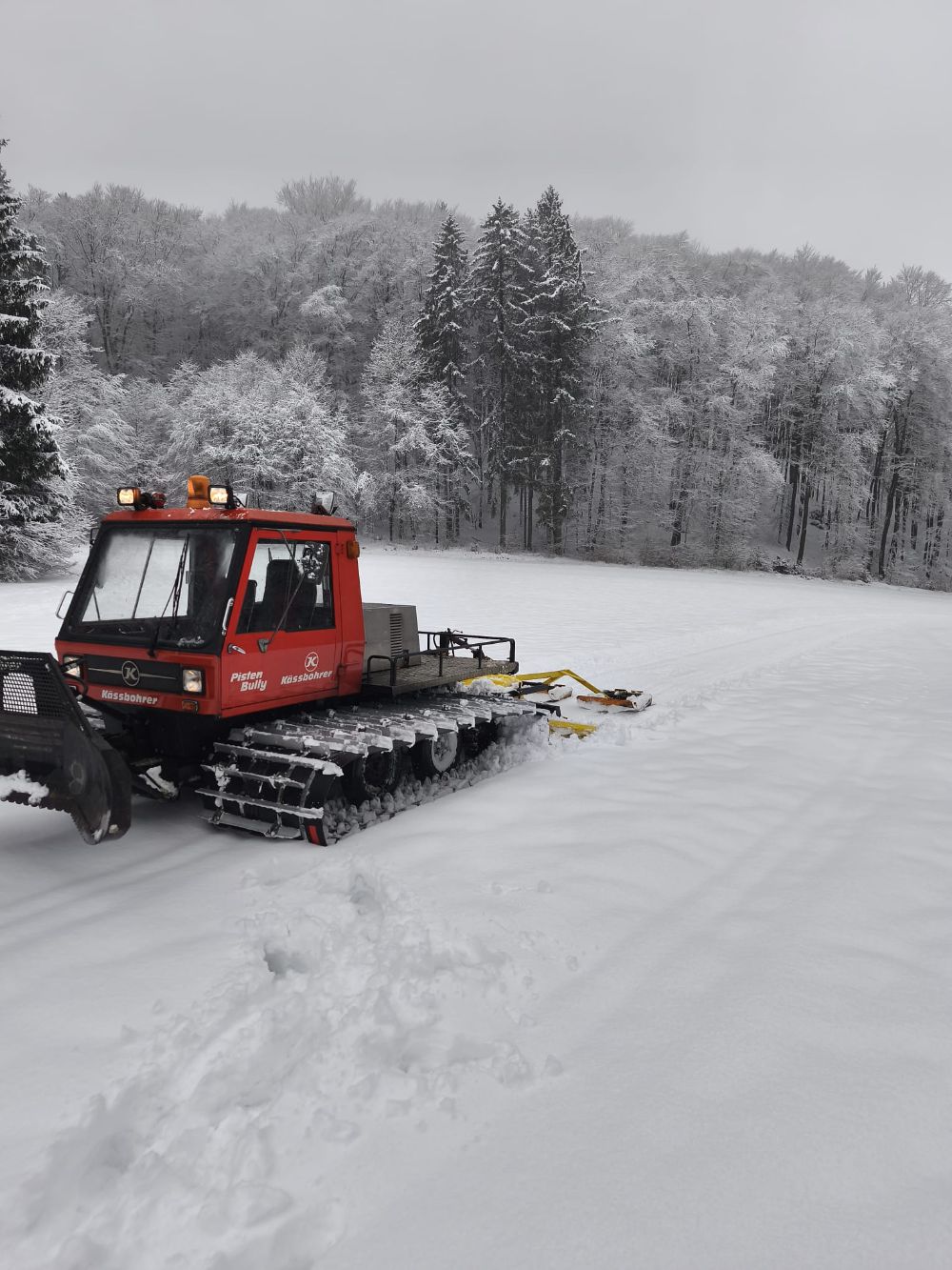 Bild: Wolfgang Brandtner