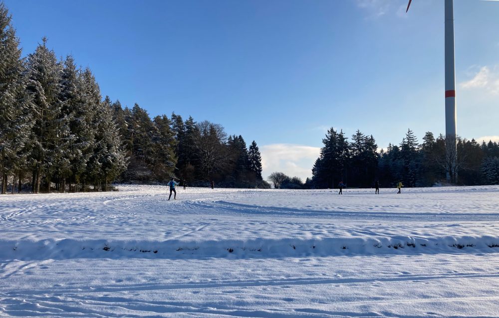 Langlauf in Waller bei wenig Schnee (Bild: Heiner Stocker | Archivbild)