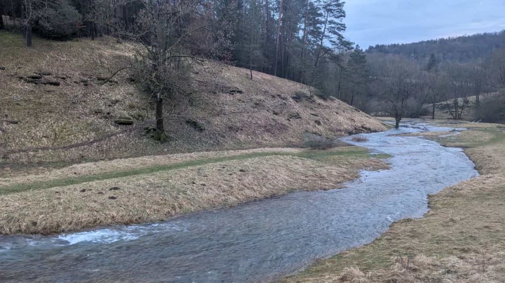 Das Tal der Tummler bei Heiligenstadt führt derzeit sehr viel Wasser.