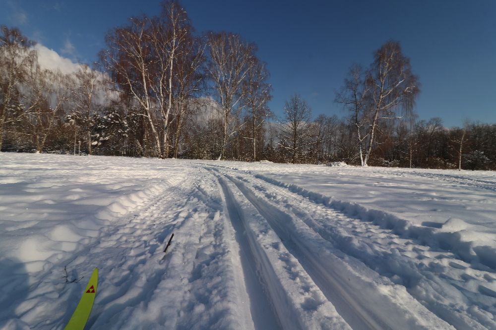 Schnee satt und idyllische Natur: so läuft es sich derzeit auf der Marienpark-Loipe