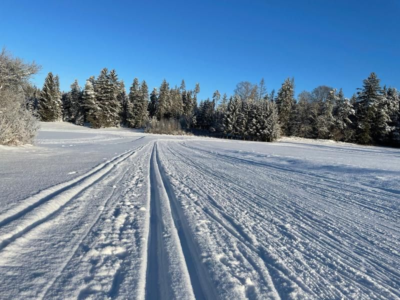 Aktuelles Bild aus Waller am Windrad am 12.02.2021 (Bild: Heiner Stocker)