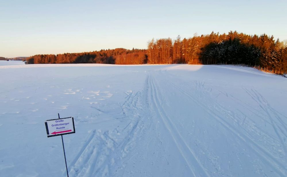 Aktuelles Bild aus der Großen Gräfenberger Loipe vom Morgen des 13. Februars - die Bedingungen sind gut mit Ausnahme weniger erdiger Stellen (Bild: Immo Engelhardt)