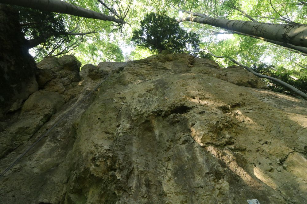 Der Bärleinhuter am Eibgrat bei Betzenstein