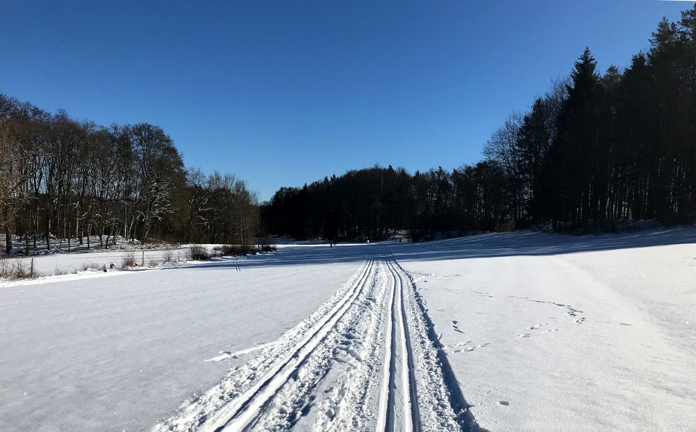 Einfach traumhaft! Bei Höfles heute am 14.02.2021 um etwa 13.30 Uhr auf der Großen Gräfenberger Loipe bei super Schnee und frühlingshafter Sonne. Die Erlanger Dauer-Langläufer sagen herzlichen Dank an das Loipenteam. (Bild: MBöhm)