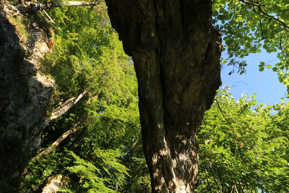 Der Namensgeber des Egloffsteiner Felsentors ist von der Bergseite aus gut zu betrachten.