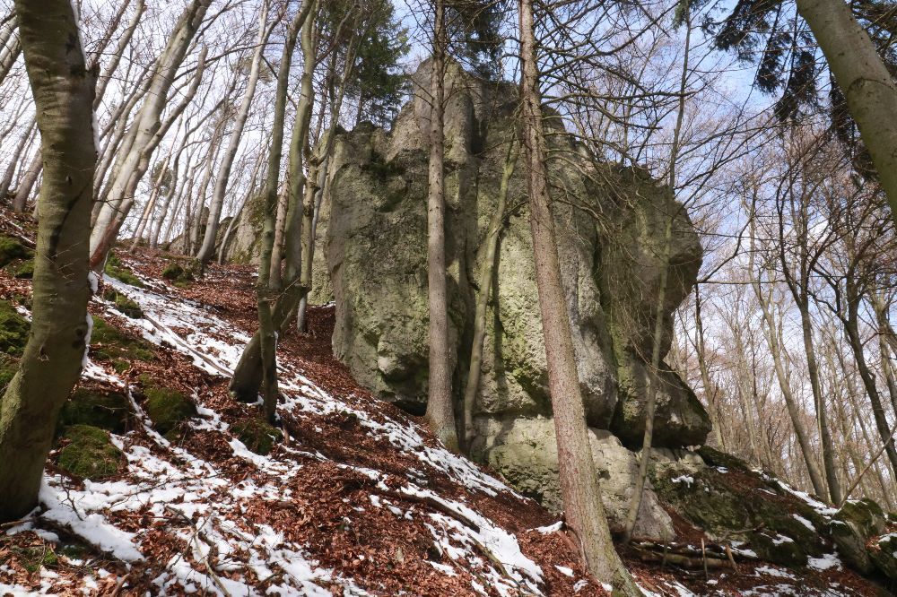 Der Buchberg bei Wohlmutshüll in winterlichem Ambiente