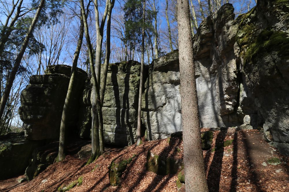 Die Holzhauswand in der Morgensonne