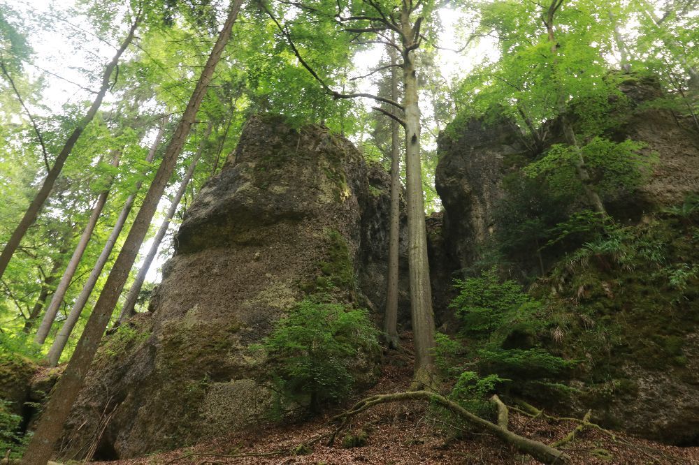 Die Hasenlochwand im Oberen Püttlachtal