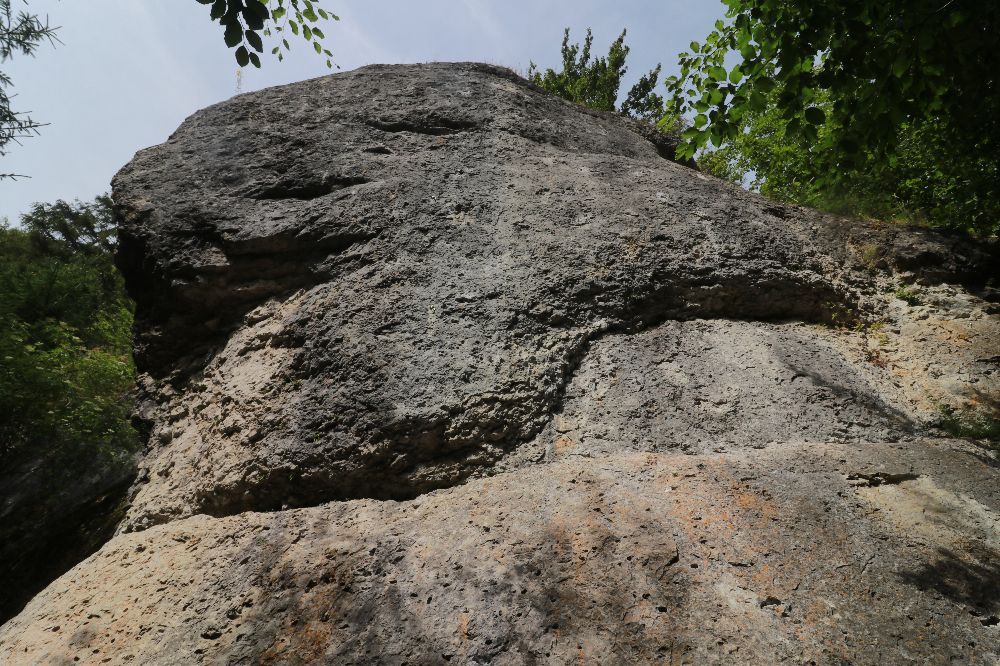 Die Nasenseitenwand im Oberen Püttlachtal