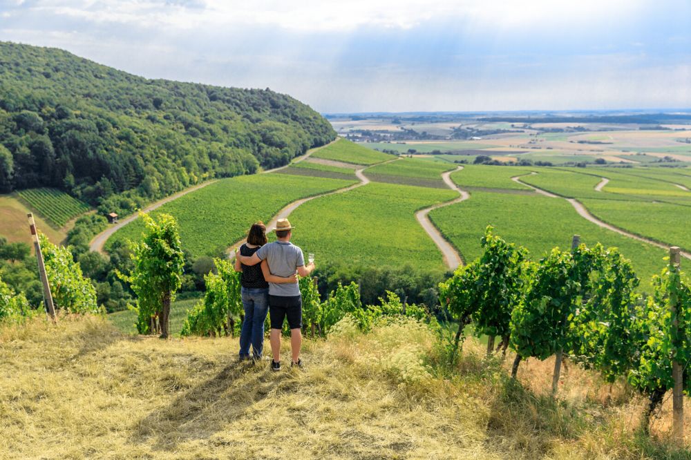 Weinparadies Hüttenheimer Tannenberg (Bild: Andreas Kneitz)