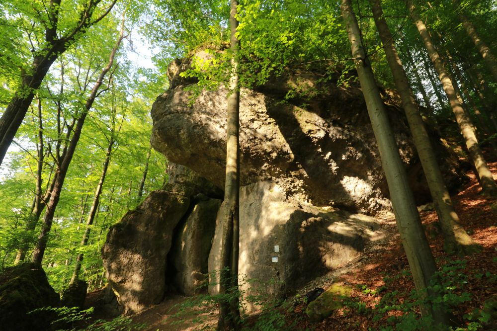 Der im Jahr 2001 erschlossene Sektor in dre Gestalt eines großen Walfischs