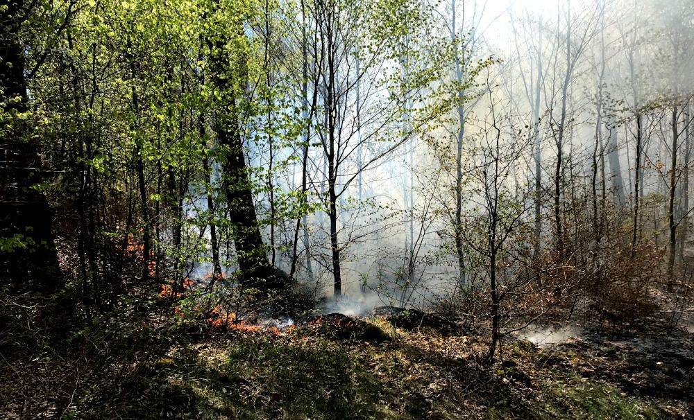 Bild: Feuerwehr Neuhaus