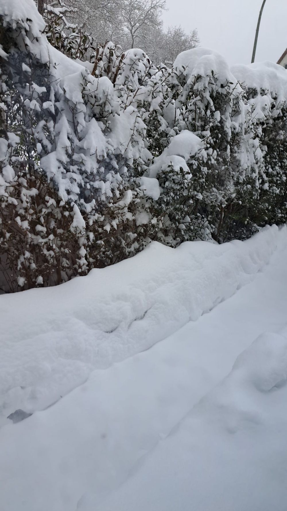 Heute am Vormittag lagen im Betzensteiner Ortsteil Spies bereits knapp 30 Zentimeter Schnee.