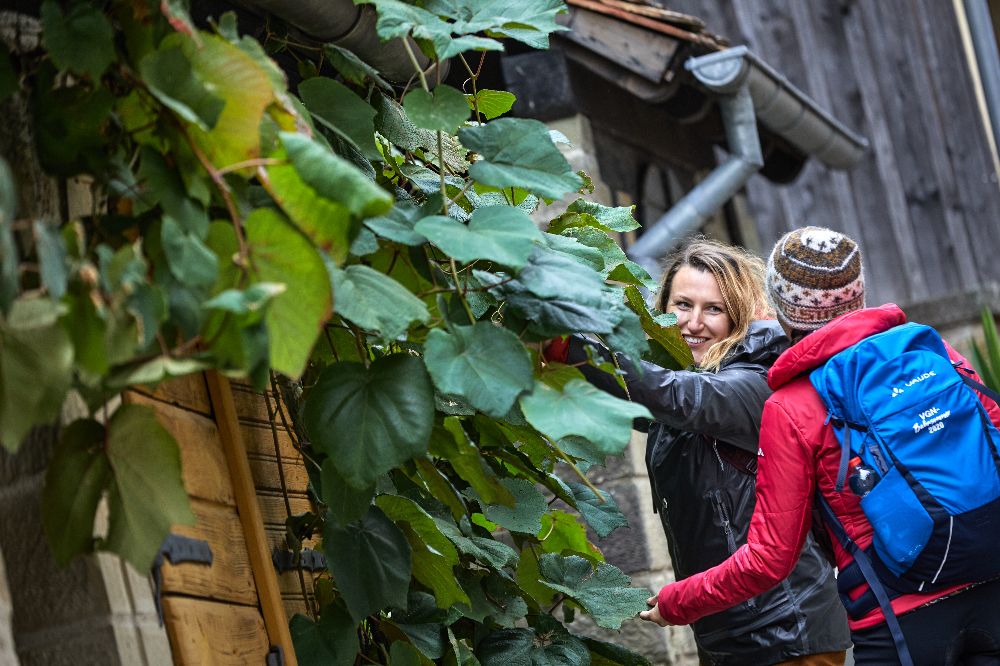 Kirchenburgen und mehr im Fränkischen Weinland (Bild: VGN | Andrea Gaspar-Klein)