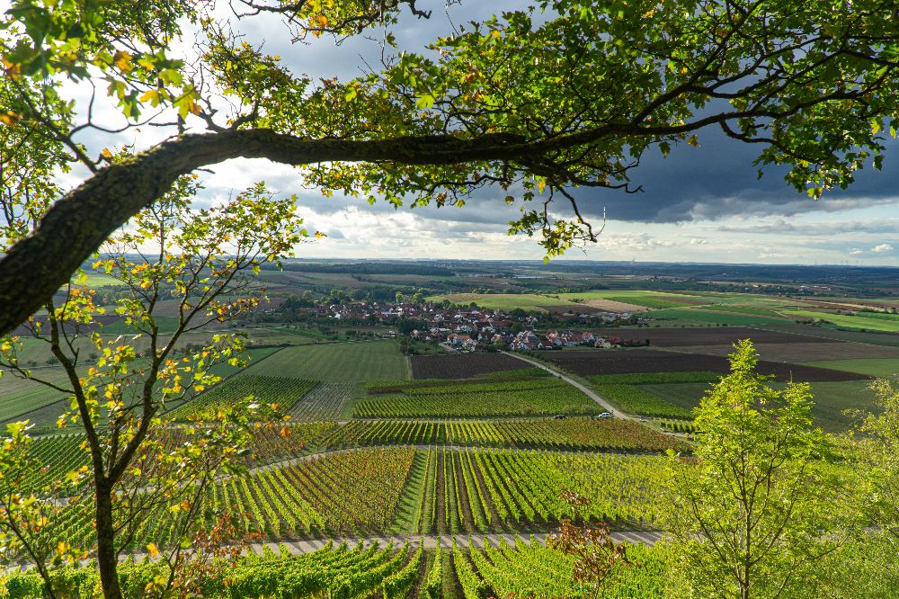 Kirchenburgen und mehr im Fränkischen Weinland (Bild: VGN | Andrea Gaspar-Klein)