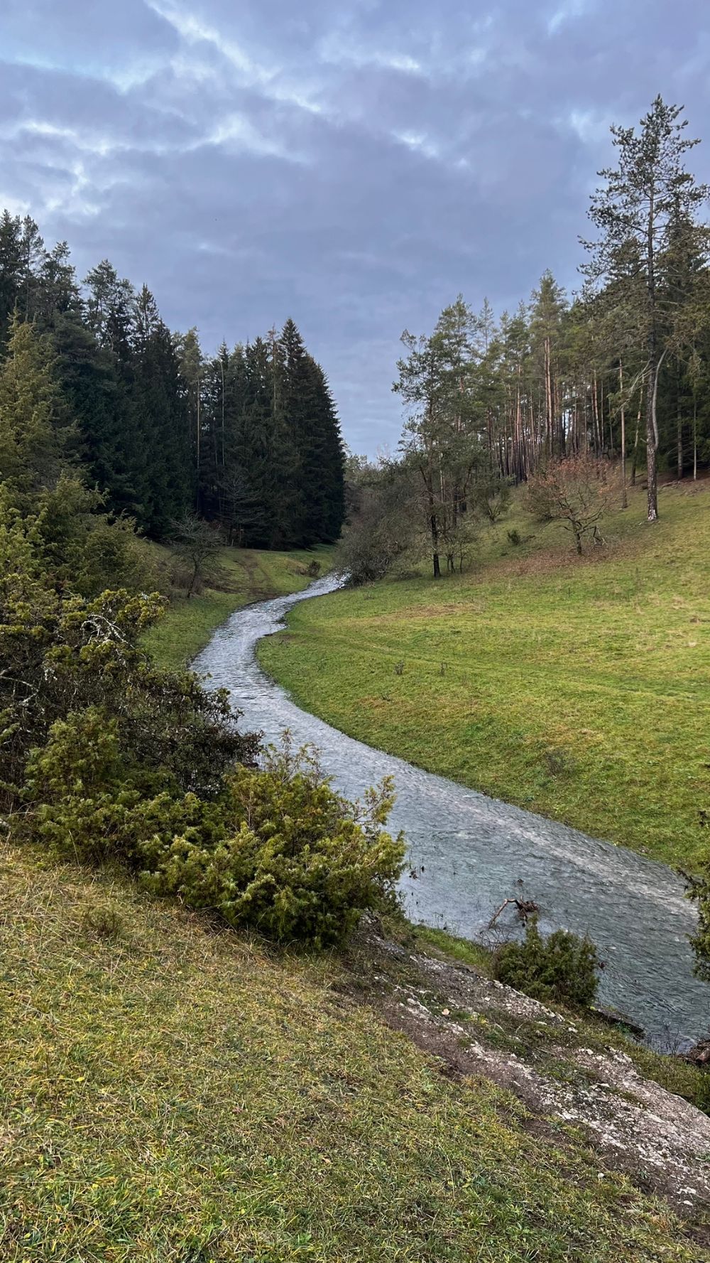 Der Tummlerbach durch das Heiligenstädter Trockental (Bild: Tobias Christian)