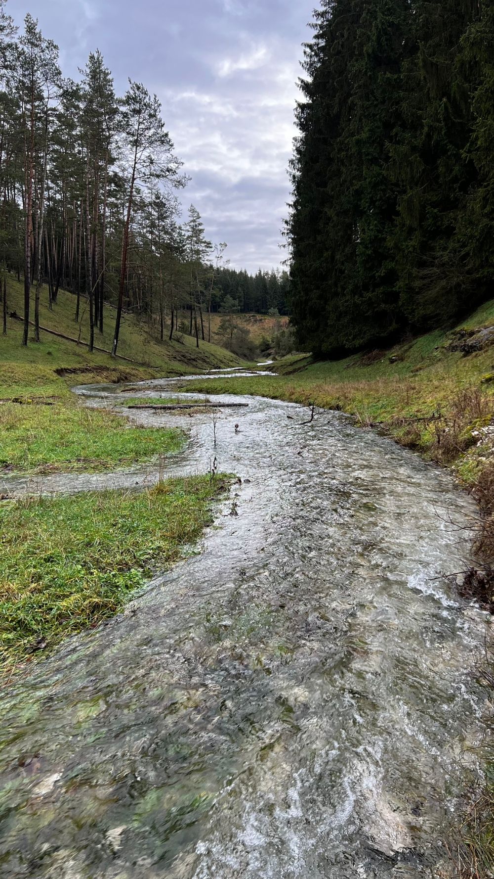 Der Tummlerbach durch das Heiligenstädter Trockental (Bild: Tobias Christian)