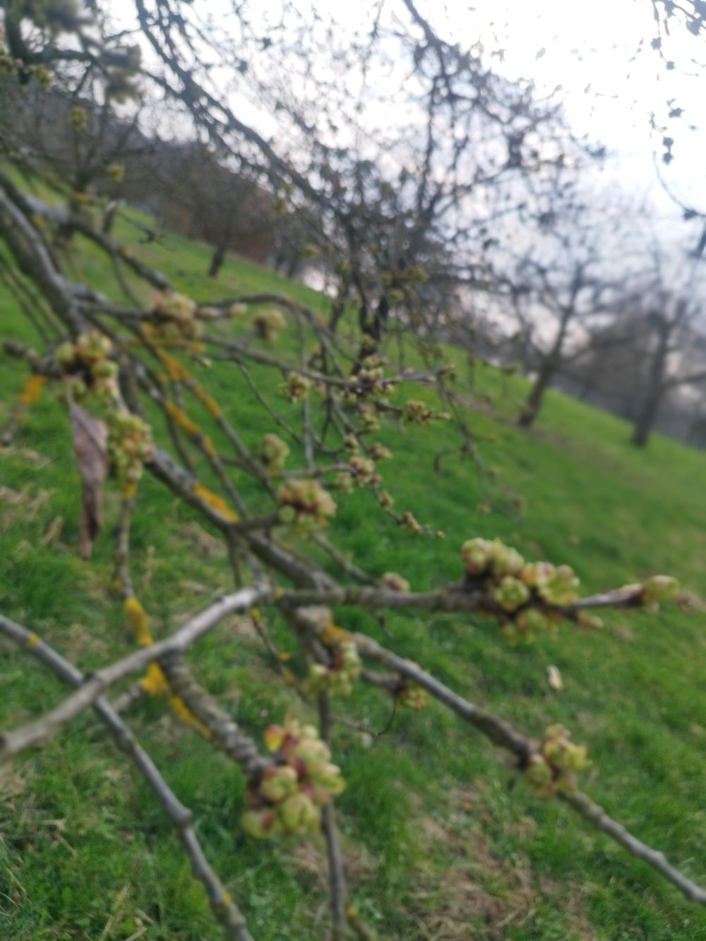 Bild: TZ Fränkische Schweiz/Sonja Liebel