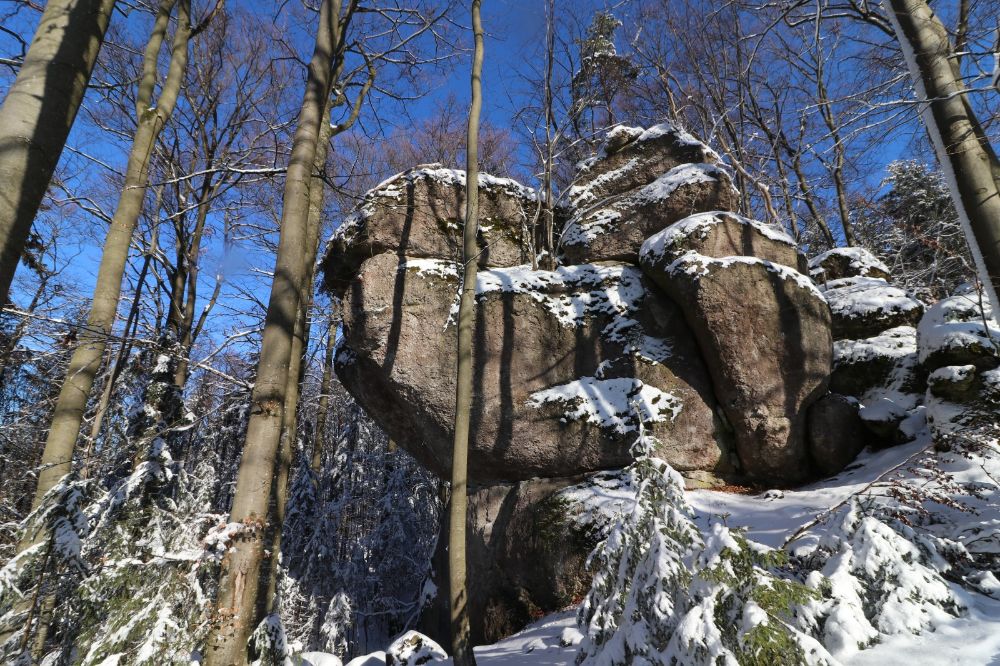 Der Waldkopf im Winter