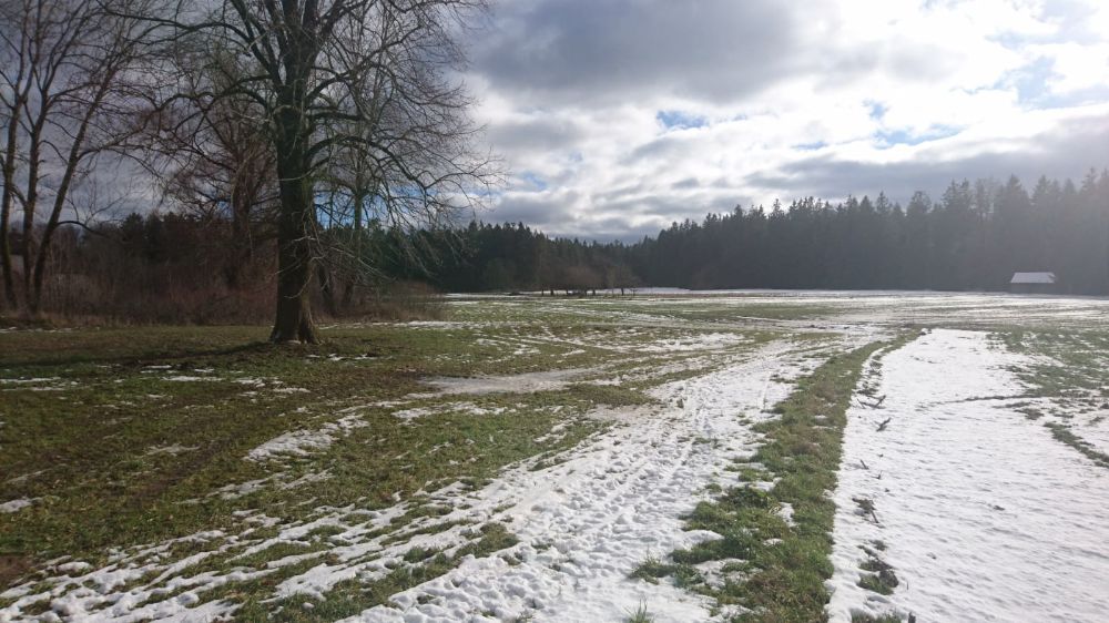 Bild vom Loipengebiet Waller am 04.02.23 um die Mittagszeit (Bild DAV Hersbruck)