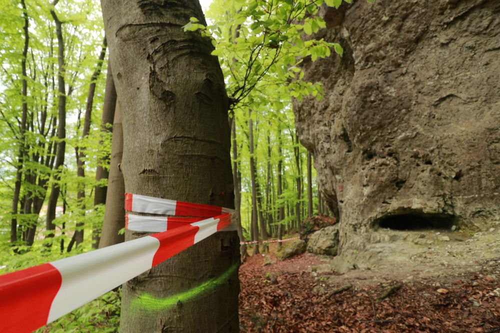 Signalwirkung: Zum Start der neuen Regelung grenzen knallbunte Trassierbänder den Bereich für Kletterer von dem der Natur ab. 