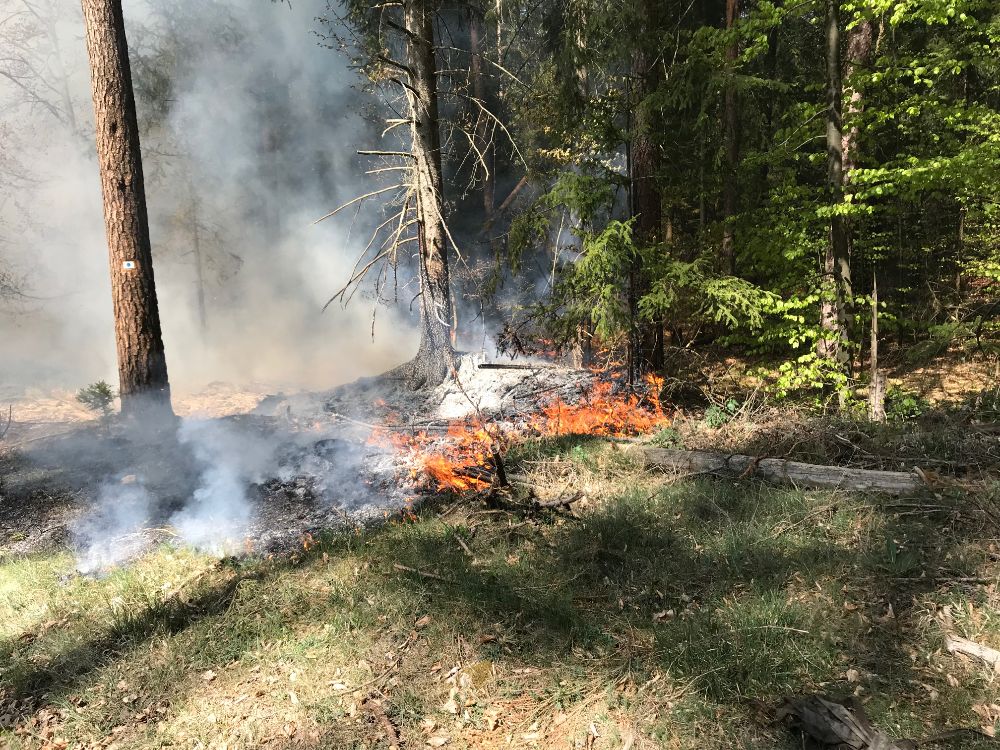 Waldbrand an den Zimmerbergwänden 2019 (Archivbild: Feuerwehr Neuhaus a.d. Pegnitz)