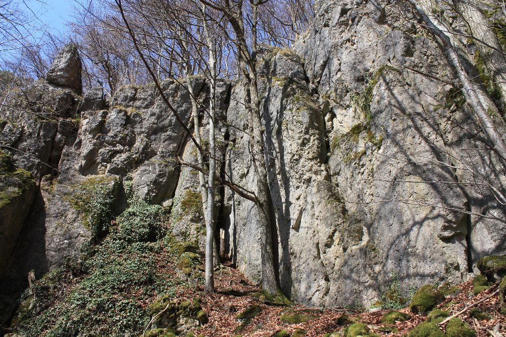 Der rechte Wandteil der Oberen Muggendorfer Wände: Der Unfall passierte in einer Route im rechten Bilddrittel