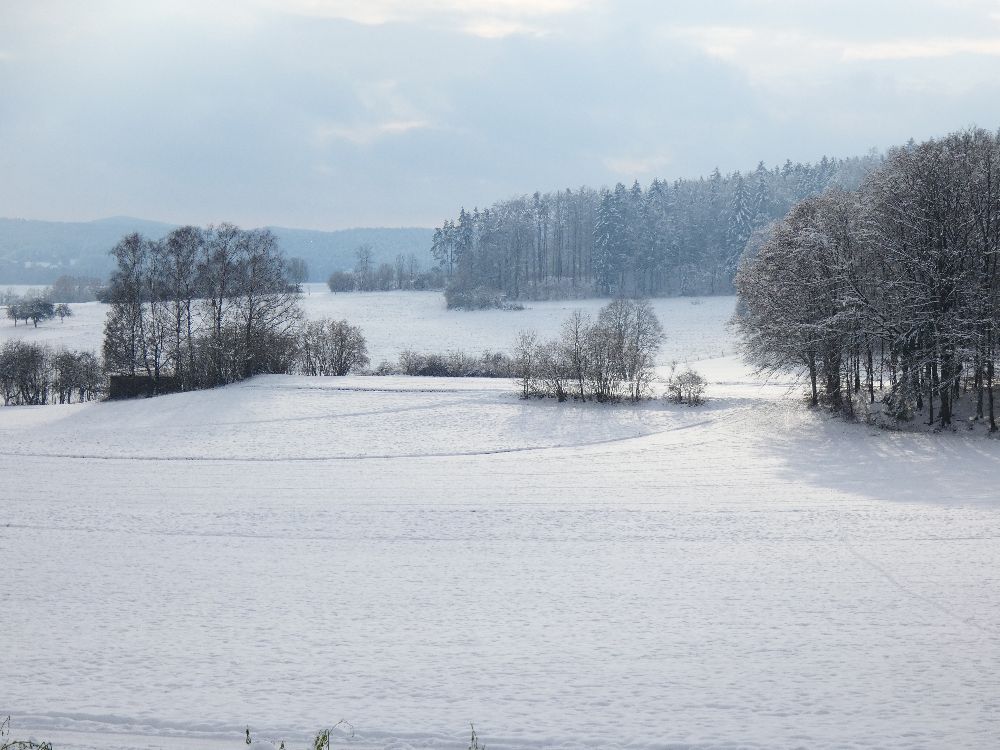 Mit Tourenski auf dem Weg zur Mittelbergwand (Bild: Ludwig Simek)