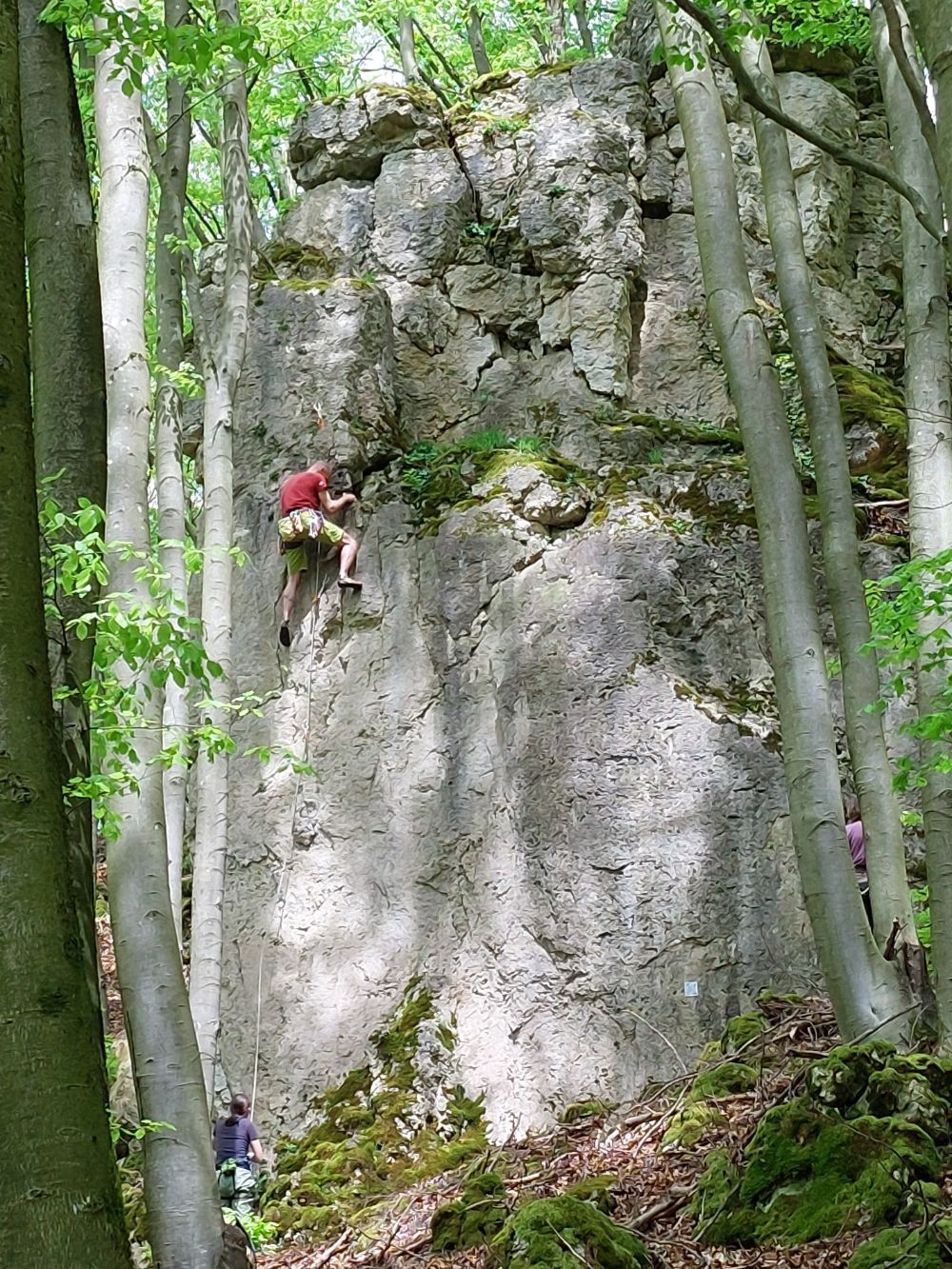 Bild des Felsens