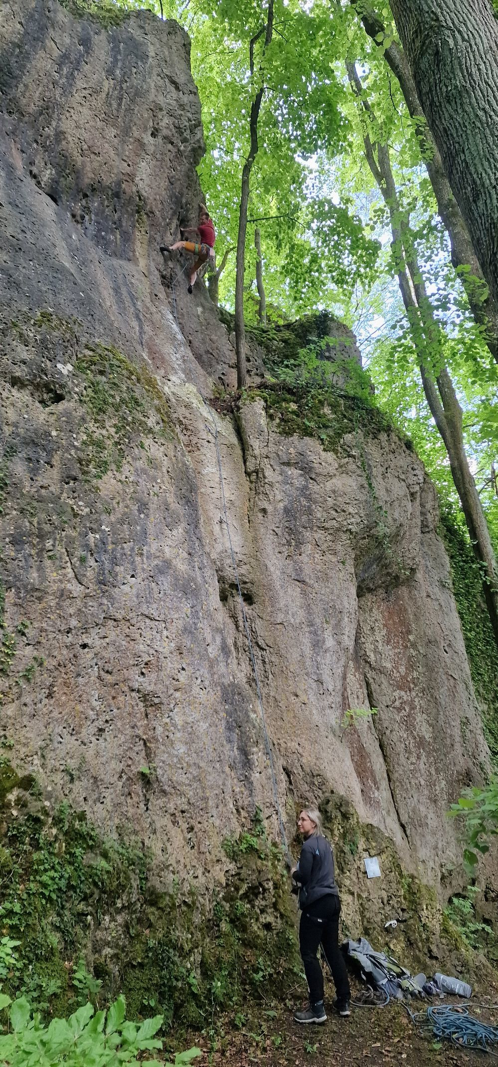 Bild des Felsens