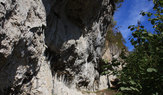 Die Holzgauer Wand