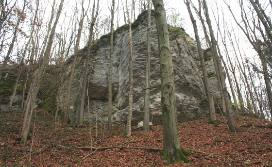 Die Altenburgwand
