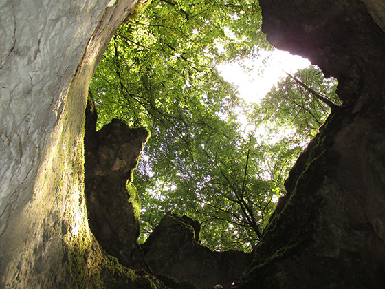 Die Wanderung führt an zahlreichen Naturdenkmälern vorbei.