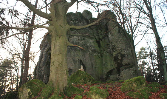Die Ostseite des Hohlleitenfels