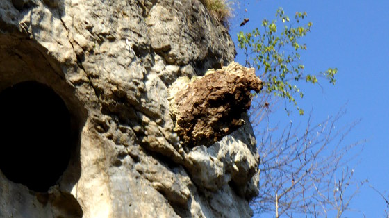 Fallender Stein an der Röthenbacher Wand