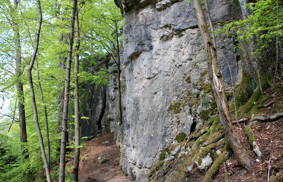 Der Ulrichstein bei Burg Greifenstein oberhalb des Leinleitertals