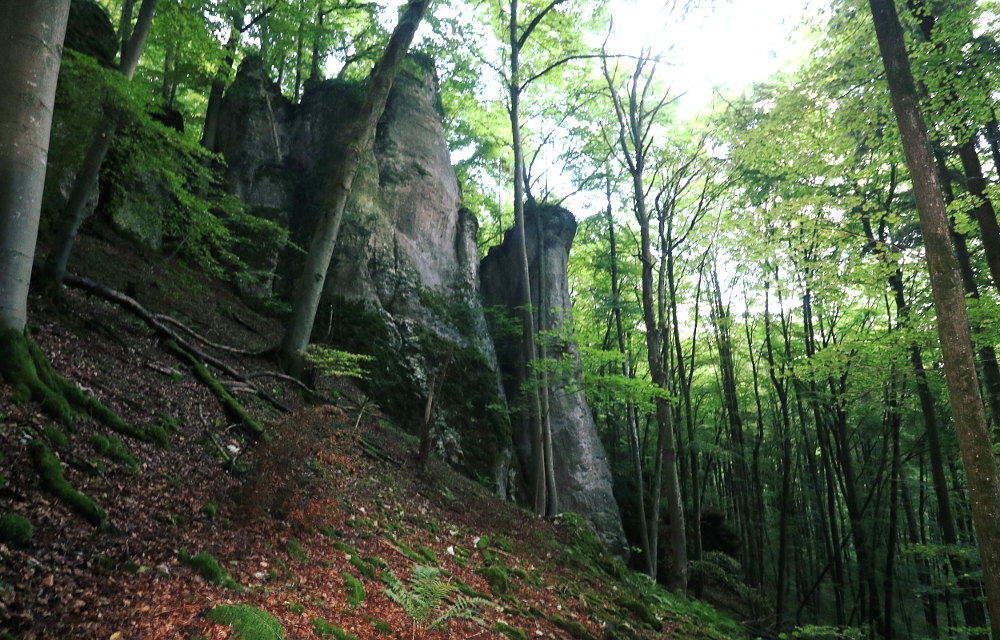 Der Schiffsbug im Unteren Trubachtal