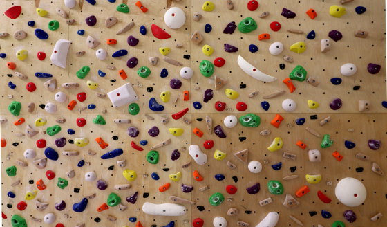 Viele bunte Griffe am neuen, schier übermächtigen Trainingsboard