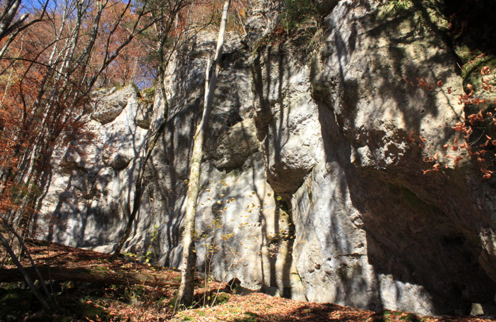 Schöne Wand für den goldenen Oktober: die Anna-Fritz Gedenkwand