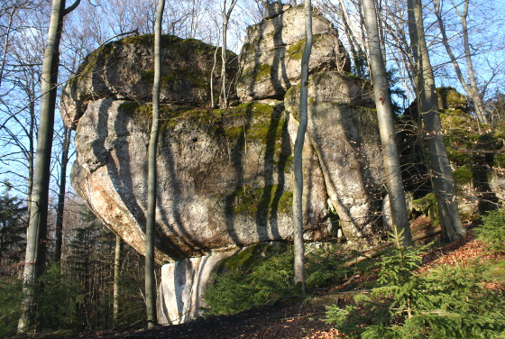 Der Waldkopf im Krottenseer Forst