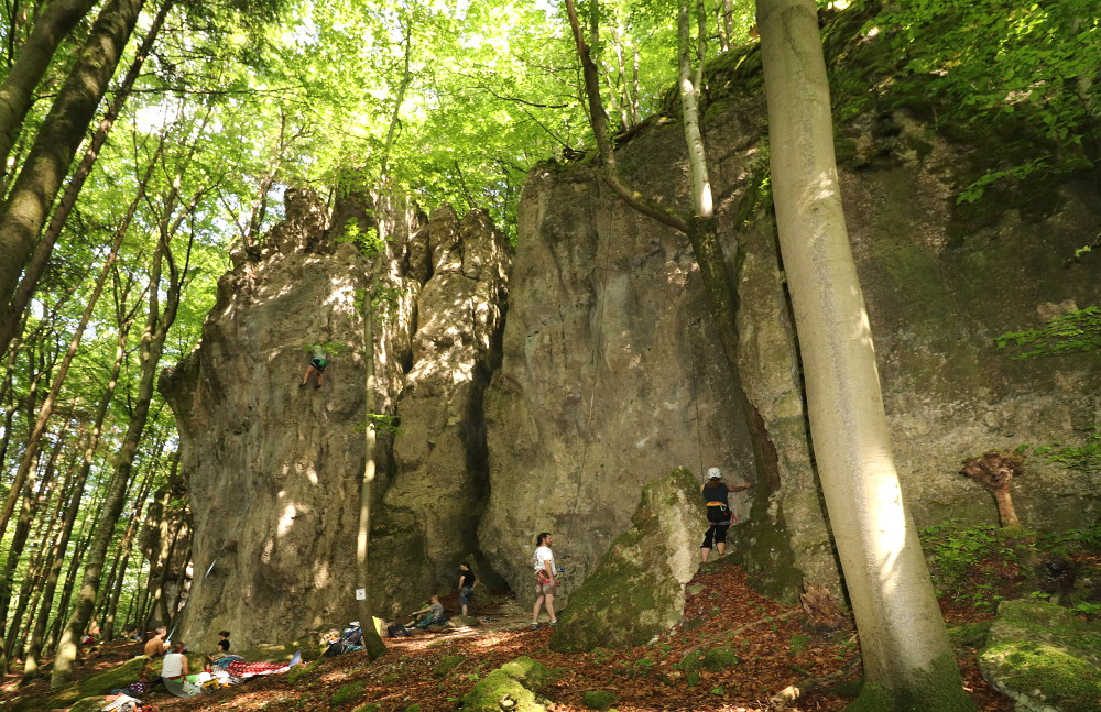 Die Castellwand im Hirschbachtal