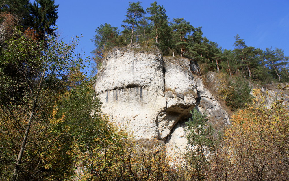 Der rechte Teil der Ringlerwand im Unteren Püttlachtal 