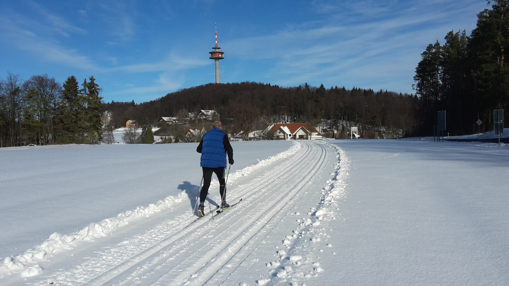 Ein Langläufer genießt den Sonnenschein auf der neu angelegten Spieser Wiesenloipe (Bild: Armin Tauber)