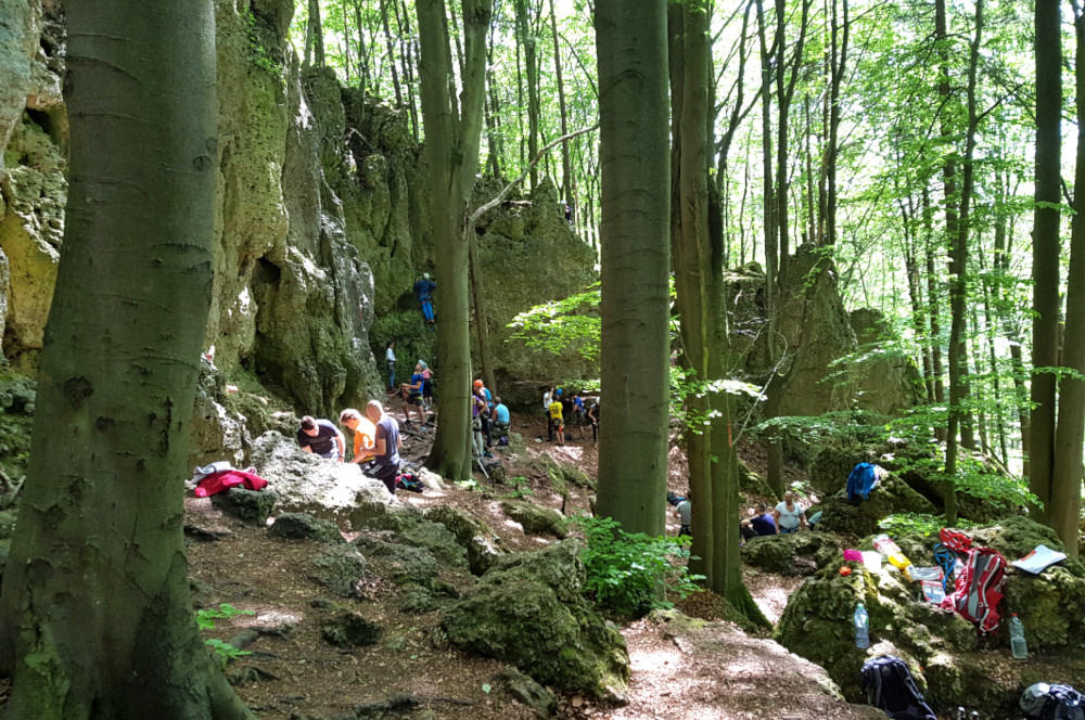 Hochbetrieb am Förstelstein Anfang Juni 2019 (Bild: Rudi Grave)