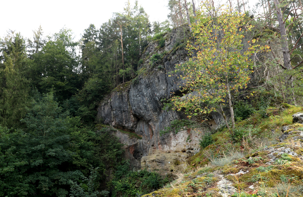 Der Kletterfels